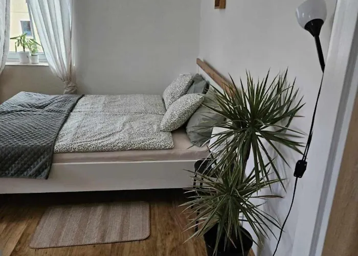 V Soukromí Choustnikovo Hradiste