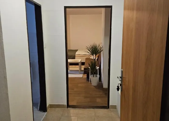 V Soukromí *